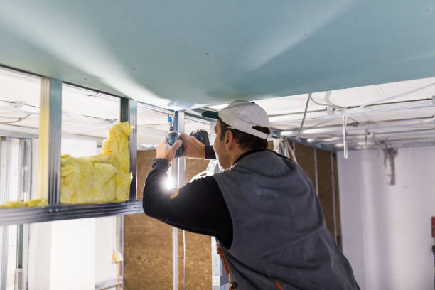 Professional Insulation Contractor in Haviland, NY