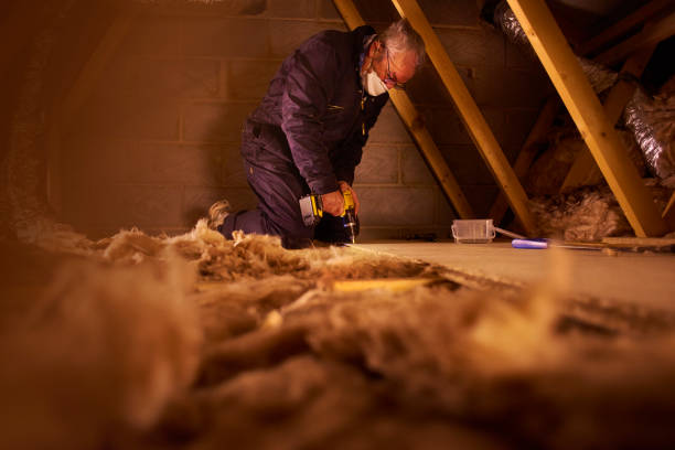 Best Wall Insulation Contractor  in Haviland, NY