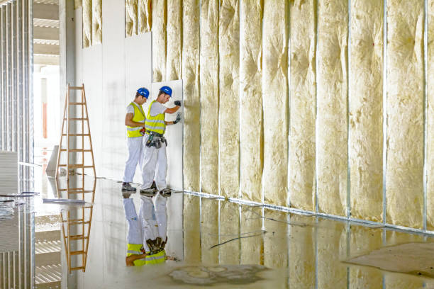 Best Soundproof Insulation Installation  in Haviland, NY